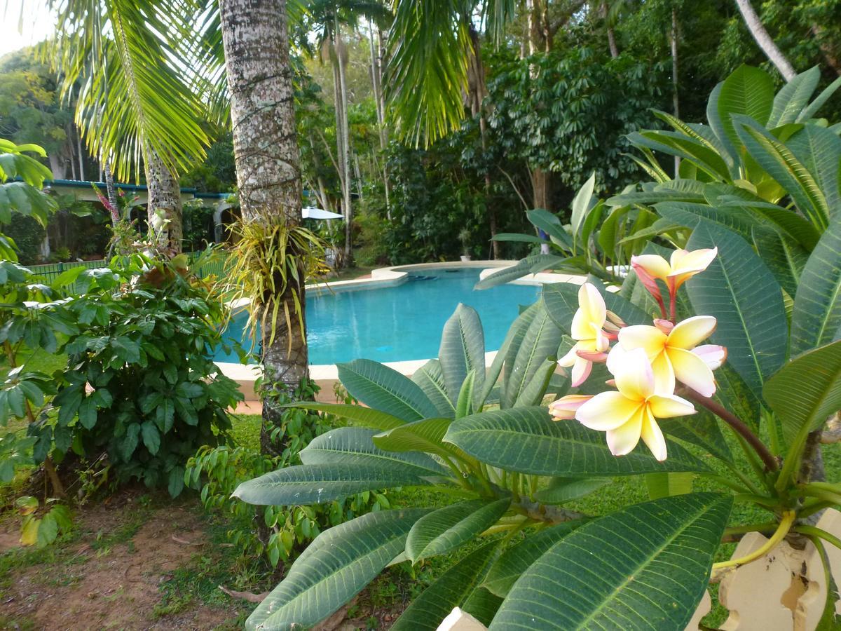Villa Marine Holiday Apartments Cairns Yorkeys Knob Cameră foto